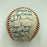 1998 New York Yankees World Series Champs Team Signed Baseball PSA DNA COA