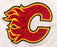 2001-02 Calgary Flames Team Signed Authentic NHL Jersey Brian Skrudland LOA