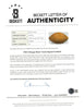 1965 Chicago Bears Team-Signed Football Brian Piccolo George Halas Beckett COA