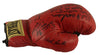 Hall of Fame Multi-Signed Boxing Glove 12 Sigs George Foreman Carlos Ortiz JSA
