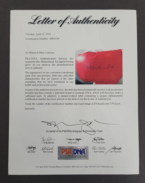 Muhammad Ali Signed Everlast Boxing Glove PSA DNA COA Auto