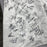 Boxing Hall Of Fame Legends Signed Everlast Robe 60+ Sigs Sylvester Stallone JSA