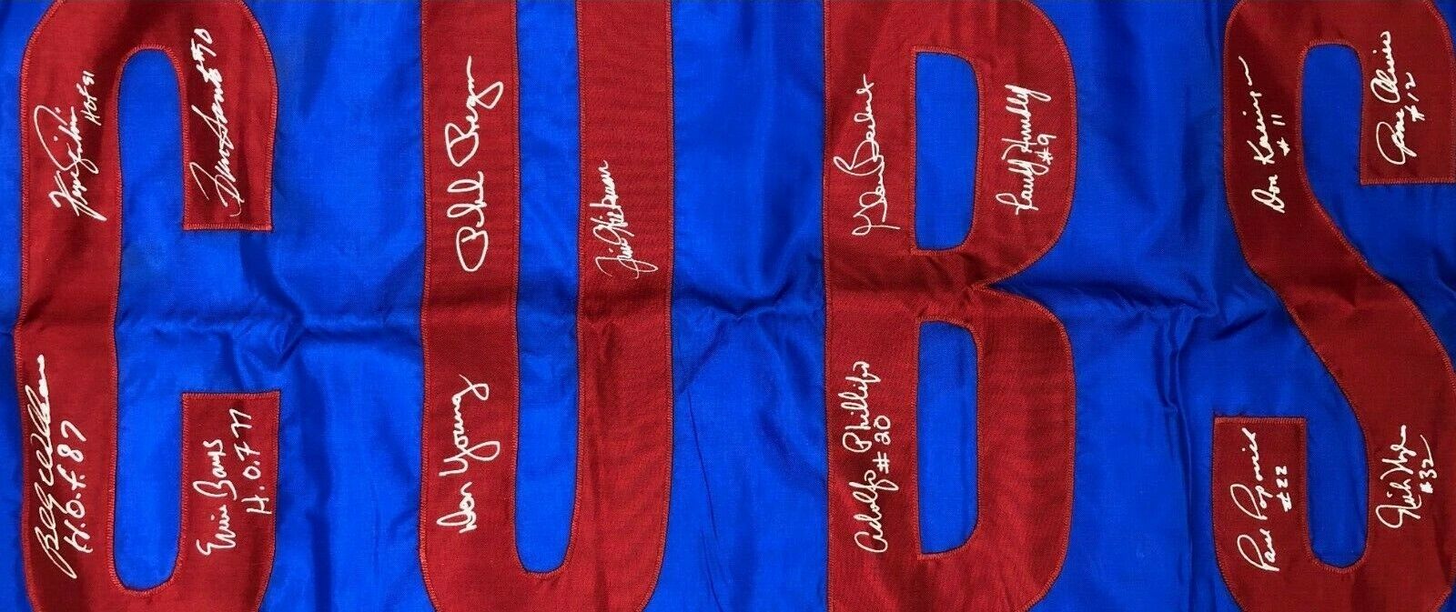 1969 Chicago Cubs Team Signed Huge Wrigley Field Cubs 30" x 69" Stadium Flag JSA