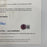 2019 NBA Rising Stars Signed Basketball Shai Gilgeous-Alexander Luka Doncic BAS