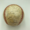 1981 New York Yankees American League Champs Team Signed Baseball