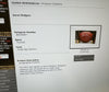 Aaron Rodgers Signed NFL Wilson Game Football UDA Upper Deck Authenticated
