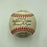 1956 Brooklyn Dodgers Team Signed Baseball Collection 31 Balls PSA JSA COA