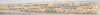 Pittsburgh Pirates Hall Of Fame & Legends Signed Bat 50 Sigs! With Beckett COA