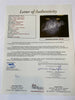 Rare Hack Wilson Single Signed 1930 National League Baseball PSA DNA & JSA COA