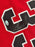 Scottie Pippen Signed Nike Authentic Chicago Bulls Jersey JSA Certified