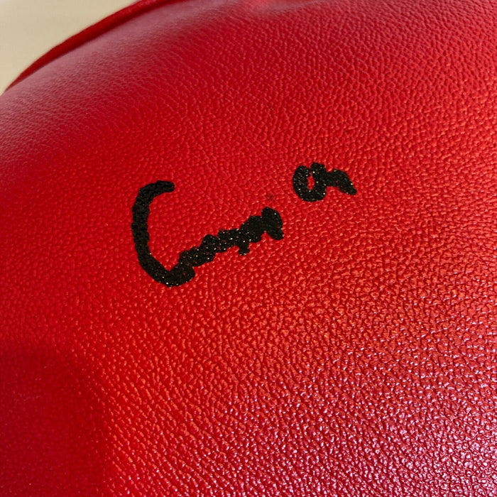 Cassius Clay Muhammad Ali Signed Boxing Glove PSA DNA Graded GEM MINT 10