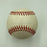 1955 Brooklyn Dodgers W.S. Team Signed Baseball Collection 29 Balls PSA JSA COA
