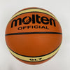 Lebron James "2008 USA Gold" Signed Olympics Basketball UDA #23/100 & JSA