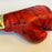 Boxing Hall Of Fame Legends Multi Signed Everlast Boxing Glove 10 Signatures JSA