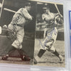 Joe Dimaggio Vince Dimaggio Dom Dimaggio Signed 1970's TCMA Postcard PSA DNA