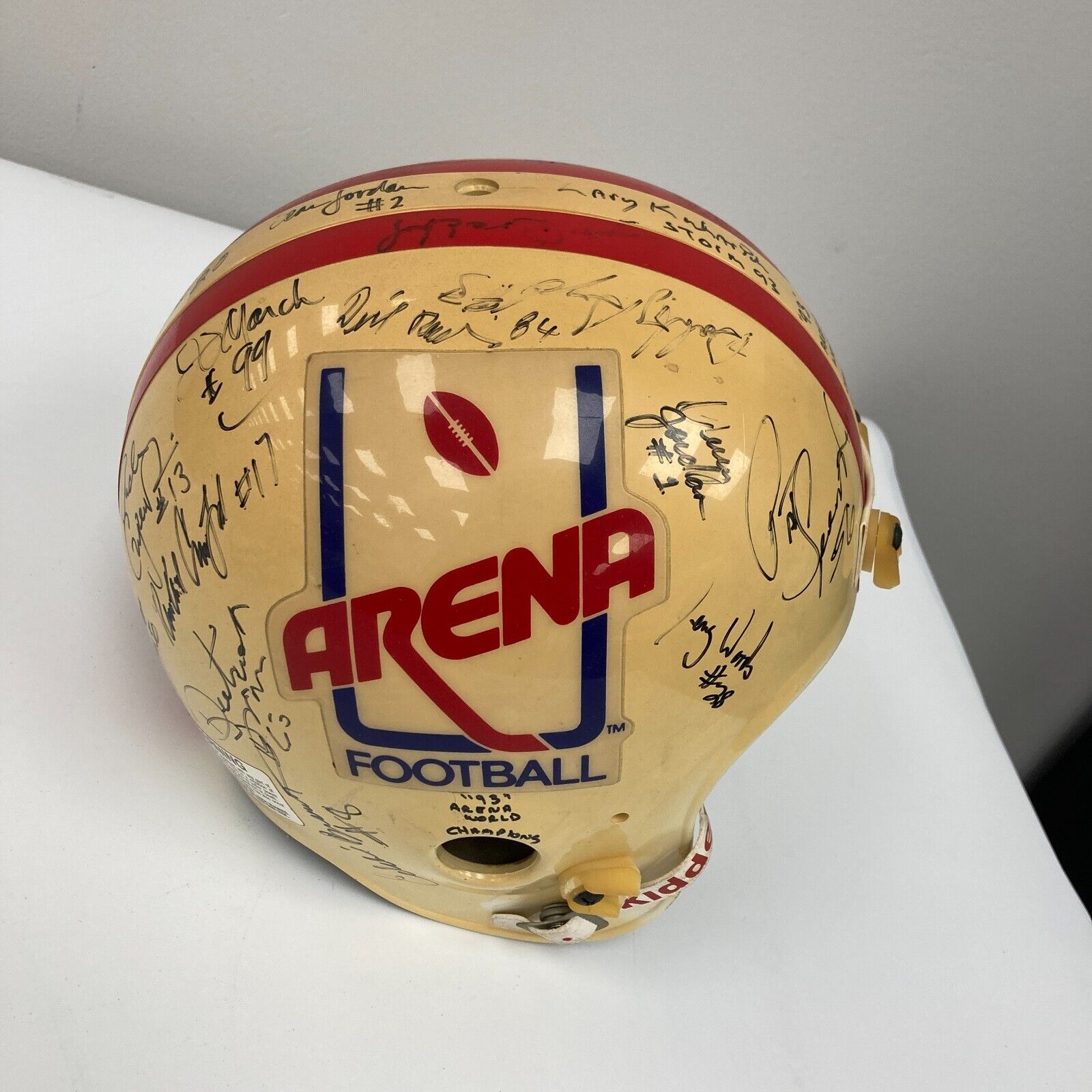 1993 Tampa Bay Storm Arena Football World Champions Team Signed Helmet — Showpieces Sports