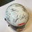 Dale Earnhardt Sr. NASCAR Legends Signed Racing Helmet 35 Sigs JSA COA