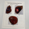 Jorge Posada Signed 2003 Game Used Baseball Glove Mitt PSA DNA & JSA COA