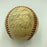 1978 Minnesota Twins Team Signed Official National League Baseball PSA DNA COA
