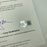 Brian Piccolo 1960's Chicago Greats Signed Baseball PSA DNA & Beckett COA