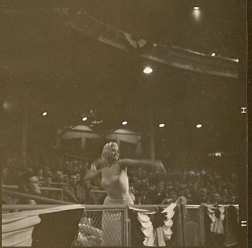 Extraordinary Jayne Mansfield Single Signed Autographed 1950's Baseball JSA COA