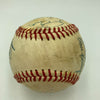 1981 Cincinnati Reds Team Signed National League Baseball Johnny Bench JSA COA