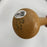 Detroit Tigers Hall Of Fame Legends Multi Signed Cooperstown Baseball Bat JSA