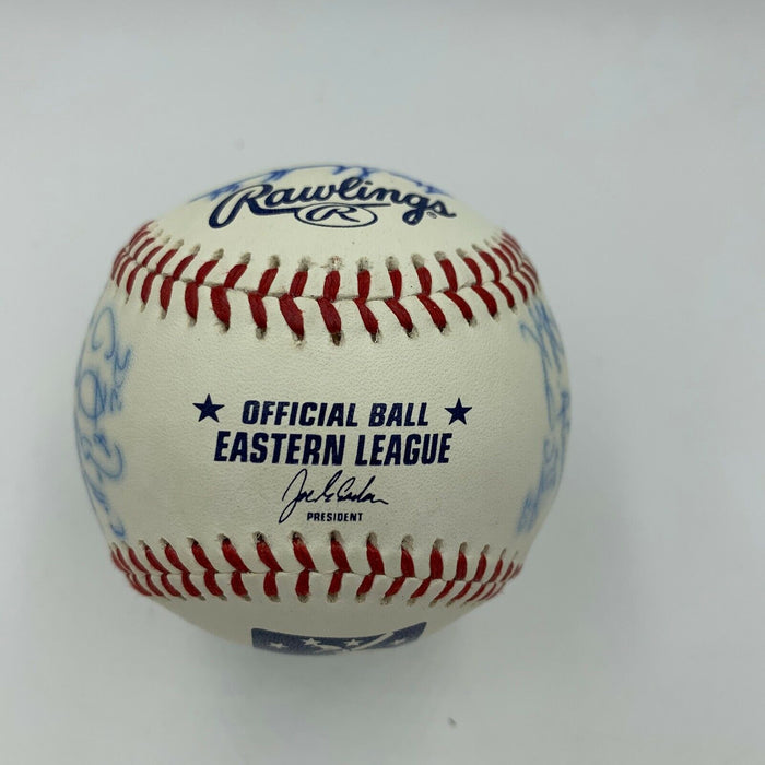 2008 Harrisburg Senators Washington Nationals Team Signed Minor League Baseball