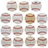 1955 Brooklyn Dodgers W.S. Team Signed Baseball Collection 29 Balls PSA JSA COA