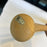 2019 Washington Nationals World Series Champs Team Signed Baseball Bat Fanatics