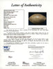 1963 Pro Bowl Team-Signed Football with Jim Brown JSA COA