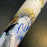 Beautiful Derek Jeter Signed Inscribed "The Dive" Special Edition Bat JSA COA