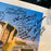 Beautiful Football Hall Of Fame Multi Signed Large 24x36 Canton OH Photo 15 Sig