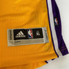 Kobe Bryant "Mamba Out" Signed #24 Authentic Los Angeles Lakers Jersey Panini