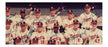 1957 Milwaukee Braves World Series Champs Team Signed 16x20 Photo JSA COA