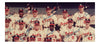 1957 Milwaukee Braves World Series Champs Team Signed 16x20 Photo JSA COA