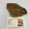 Mickey Mantle Signed 1950's Rawlings Game Model Baseball Glove JSA COA