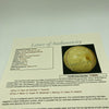 1934 St. Louis Cardinals World Series Champs Team Signed Baseball JSA COA