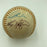 1969 Chicago Cubs Team Signed Autographed Official League Baseball