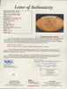 1968 Chicago Bears Team Signed Wilson Football Brian Piccolo Dick Butkus JSA COA