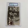 Joe Dimaggio Vince Dimaggio Dom Dimaggio Signed 1970's TCMA Postcard PSA DNA