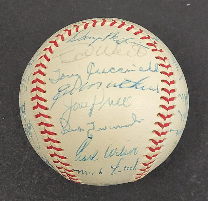 Beautiful 1968 Detroit Tigers World Series Champs Team Signed Baseball JSA COA