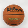 1985-1987 Boston Celtics Team Signed Basketball JSA COA