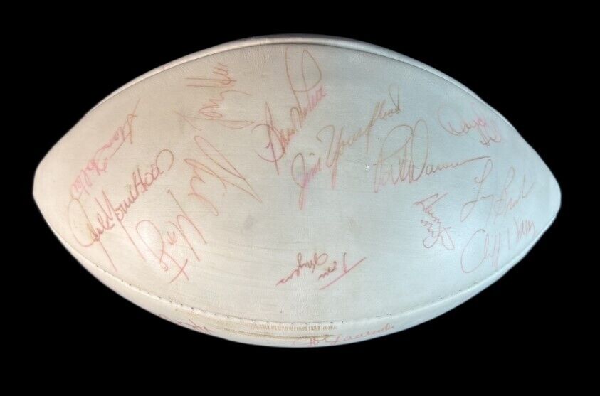 1980 NFL Pro Bowl Team Signed Wilson Official Football 30+ Sigs JSA COA