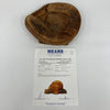Joe Pignatano 1957 Brooklyn Dodgers Signed Spalding Game Used Catcher's Mitt JSA