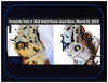 Fernando Tatis Jr. MLB Debut Game Used Photo Matched Baseball Glove With COA