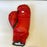 Boxing Hall Of Fame Legends Multi Signed Everlast Boxing Glove 10 Signatures JSA
