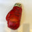 Boxing Hall Of Fame Legends Multi Signed Everlast Boxing Glove 10 Signatures JSA