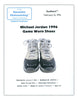 Michael Jordan Photo Matched Game Used Twice Signed 1996 Nike Sneakers JSA COA