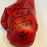 Sergio Martinez Larry Hazzard Nino Benvenuti Danny Lopez Signed Glove JSA COA